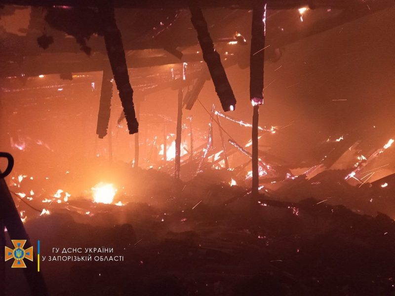 В Запорожской области на пожаре травмировалась женщина