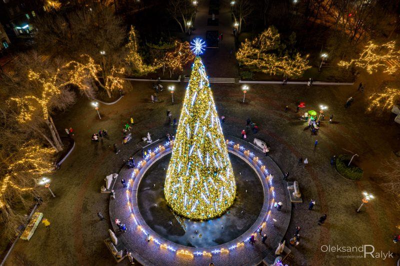 главная городская елка Запорожье