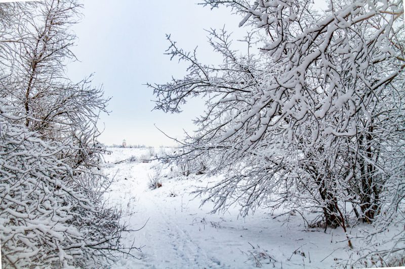 Фотограф из Запорожья показала красоту зимней Хортицы - фото 