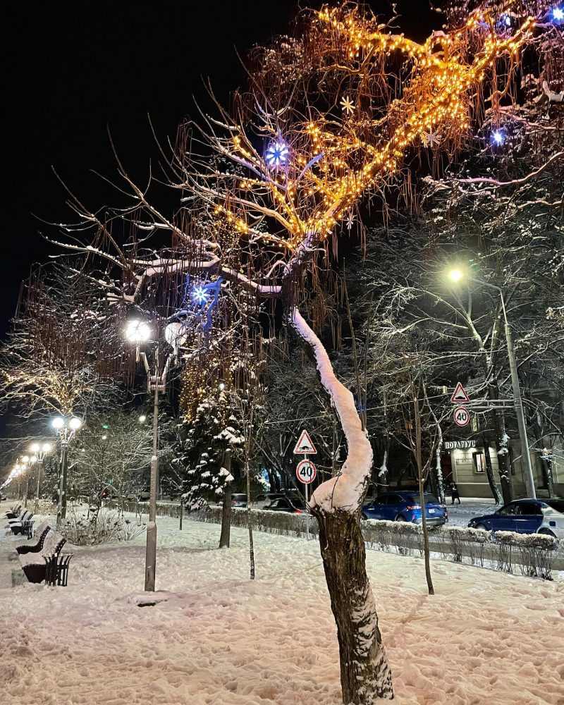 В сети показали, как ночью выглядит новогоднее Запорожье - фото