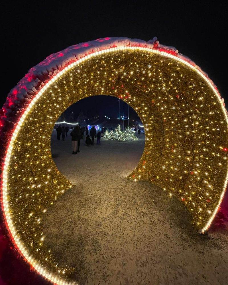 В сети показали, как ночью выглядит новогоднее Запорожье - фото