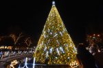 На площади Маяковского в центре города торжественно открыли главную городскую елку. Полюбоваться на новогоднюю красавицу сюда пришли сотни запорожцев.