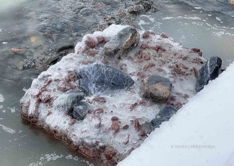 Фотограф из Запорожской области показала, как чайки купаются в обледеневшем море 