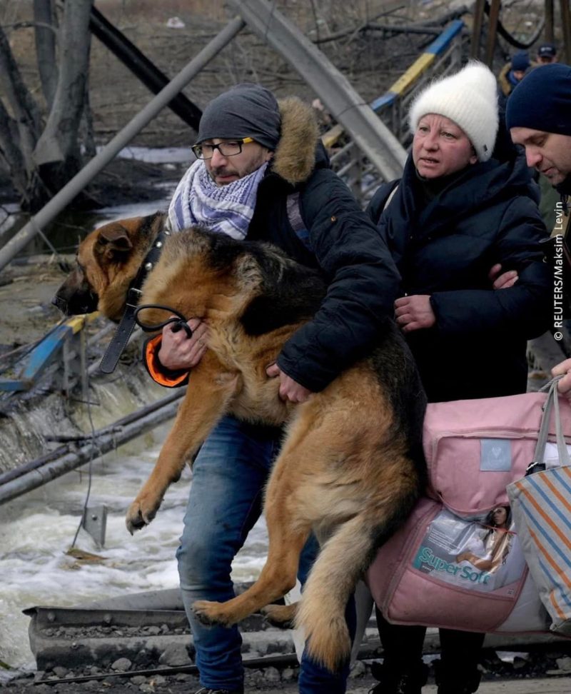 Тваринки, їх господарі та війна