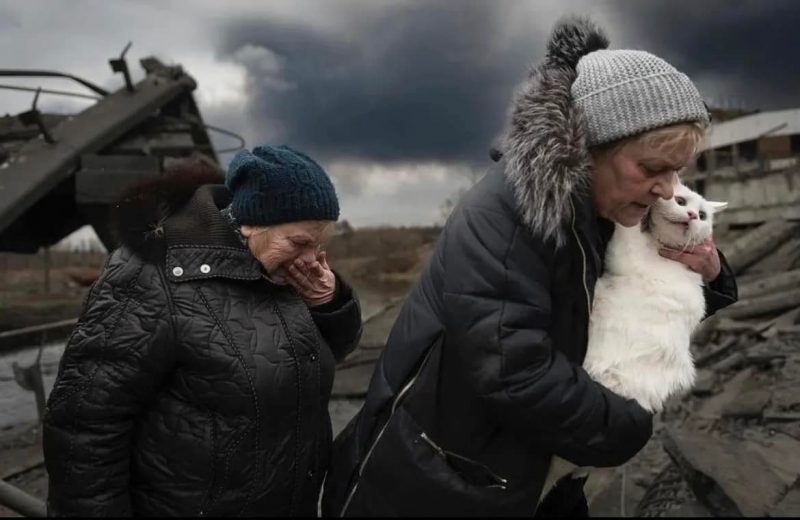 Тваринки, їх господарі та війна