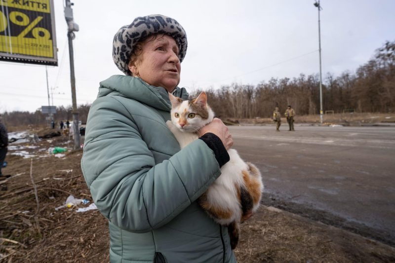 Тваринки, їх господарі та війна