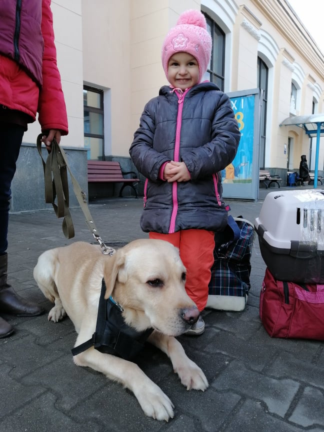 запоріжці їдуть