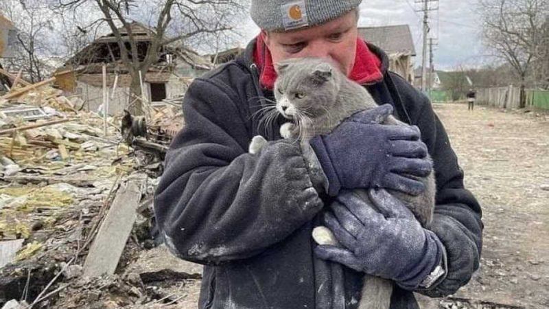 Тваринки, їх господарі та війна